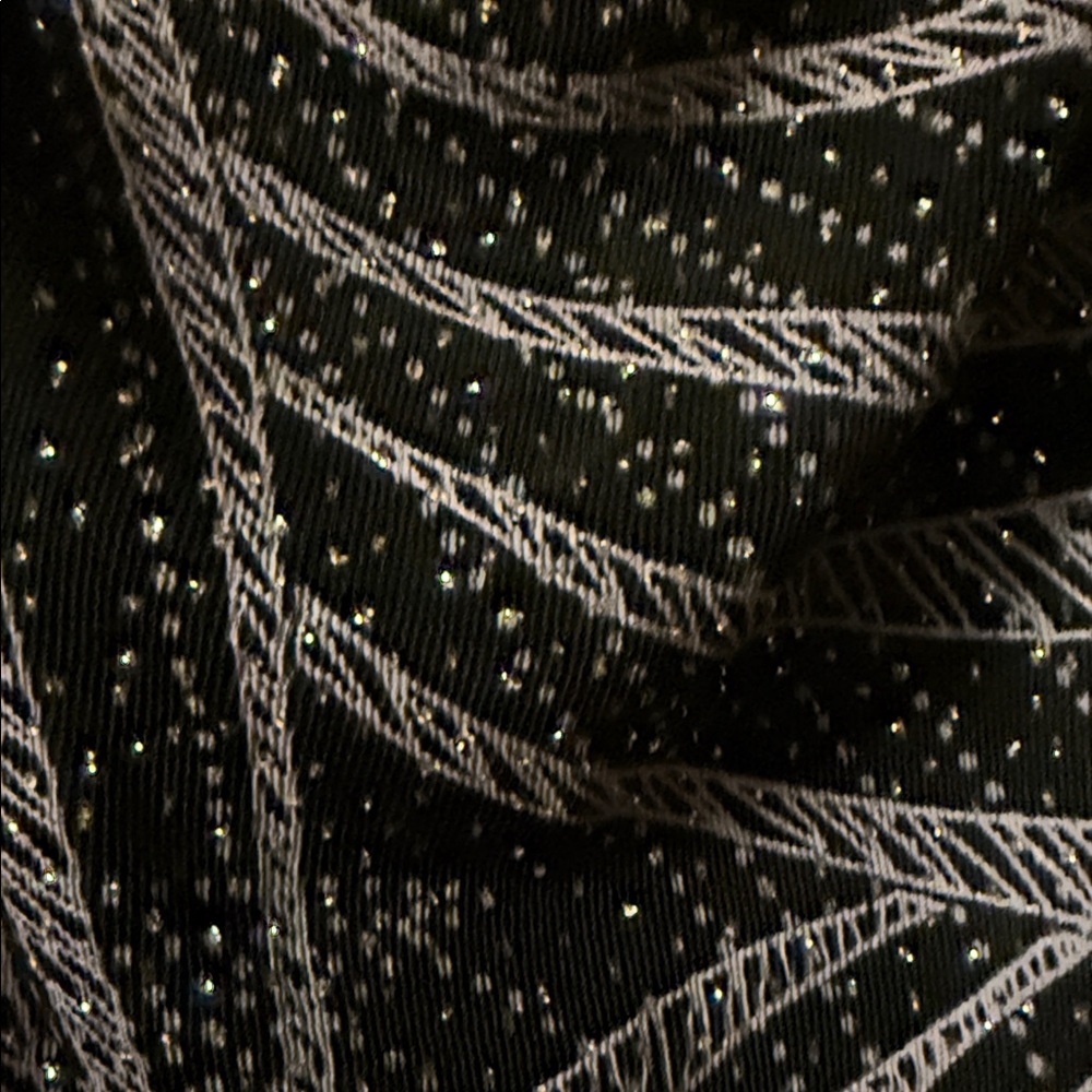 Alex Evenings Black and Silver Sparkle Tank Top